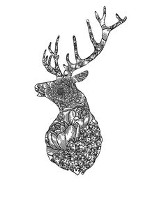 品牌插畫平面設計 視覺語言與商業價值的完美融合